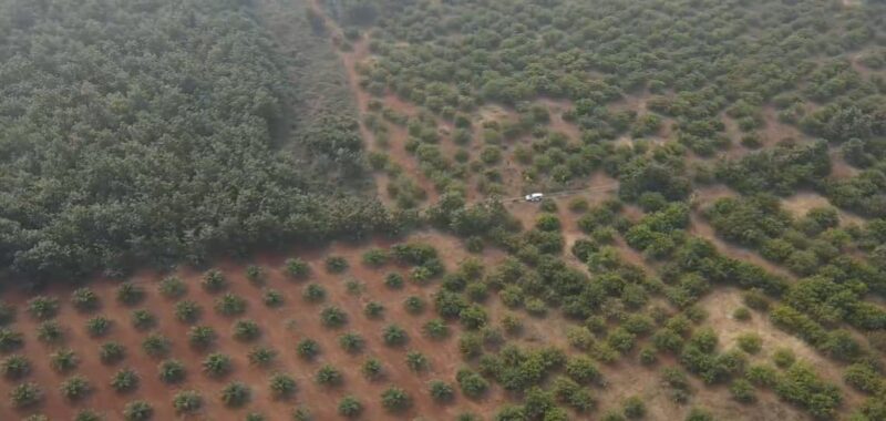 Agricultural Land for Sale in Andhra Pradesh – Parvathipuram Manyam District