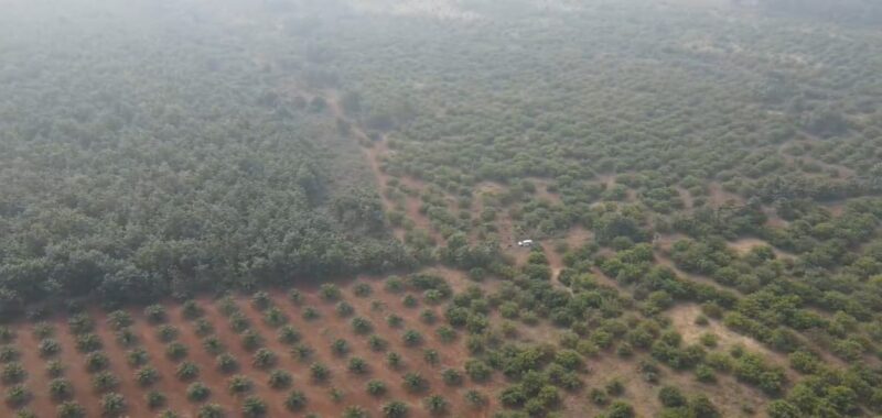 Agricultural Land for Sale in Andhra Pradesh – Parvathipuram Manyam District