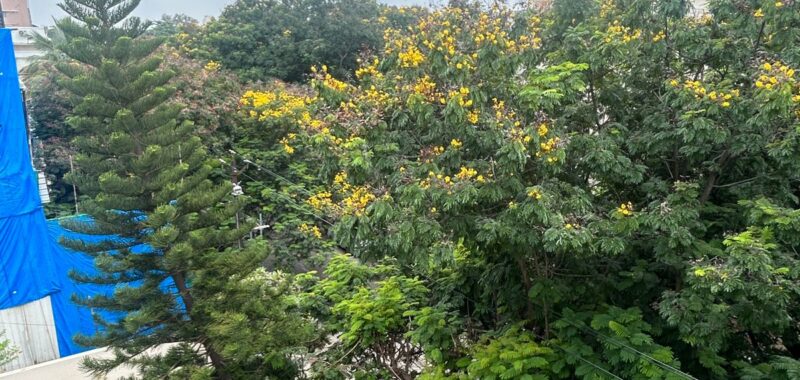 Prime Residential Plot for Sale in Banjara Hills Hyderabad