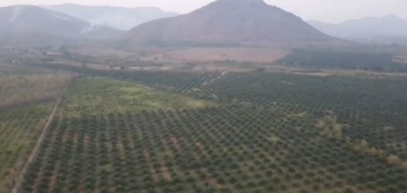 Agricultural Land for Sale in Andhra Pradesh – Parvathipuram Manyam District